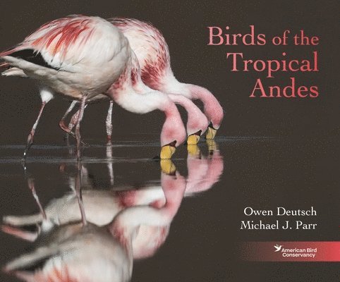 Owen Deutsch, Michael J. Parr - Birds of the Tropical Andes, Inbunden. Tillgänglighet: Lägg i varukorg