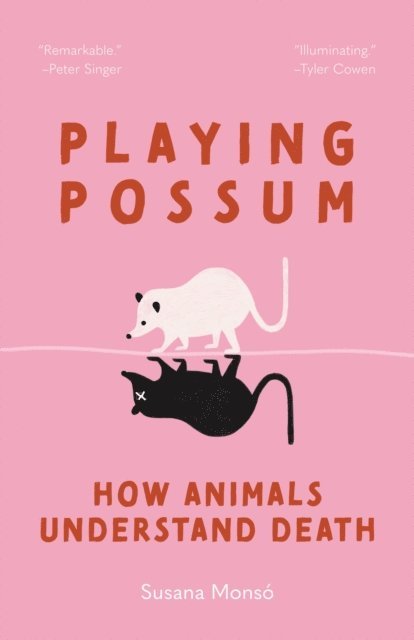 Susana Monso - Playing Possum, E-bok