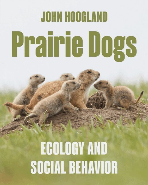 John Hoogland - Prairie Dogs, E-bok. Tillgänglighet: Lägg i varukorg