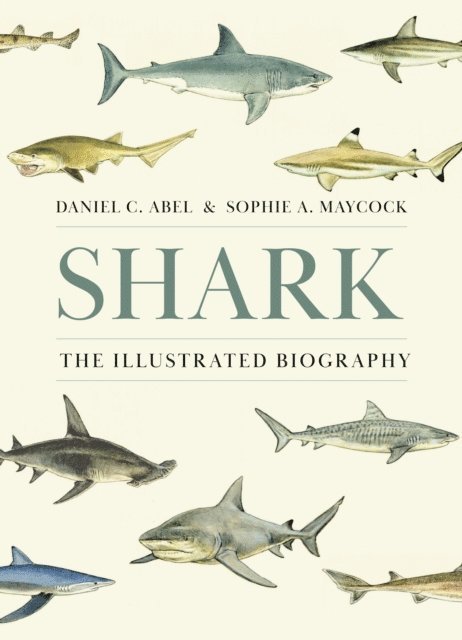Sophie A. Maycock, Daniel C Abel - Shark, E-bok