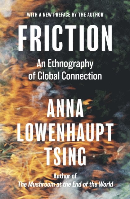Anna Lowenhaupt Tsing - Friction, E-bok