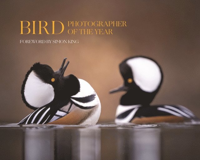 Simon King - Bird Photographer of the Year, E-bok