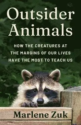 Outsider Animals