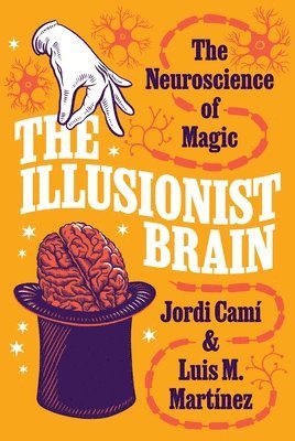 Illusionist Brain