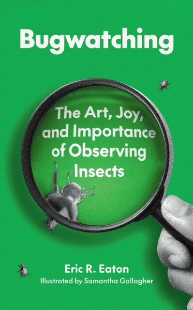 Eric R. Eaton - Bugwatching, E-bok