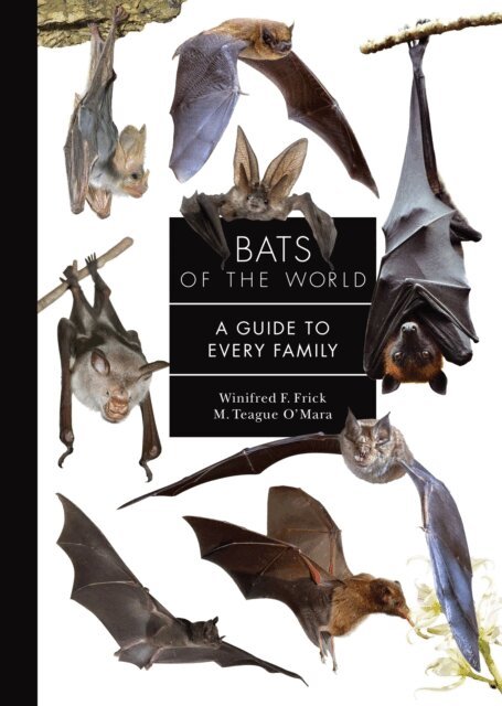 M. Teague O'Mara, Winifred Frick - Bats of the World, E-bok