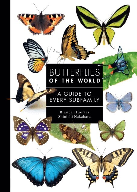 Blanca Huertas, Shinichi Nakahara - Butterflies of the World, E-bok