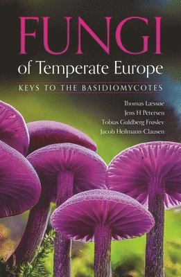 Thomas Læssøe, Jens H. Petersen, Tobias G. Frøslev, Jacob Heilmann-Clausen - Fungi of Temperate Europe, Inbunden