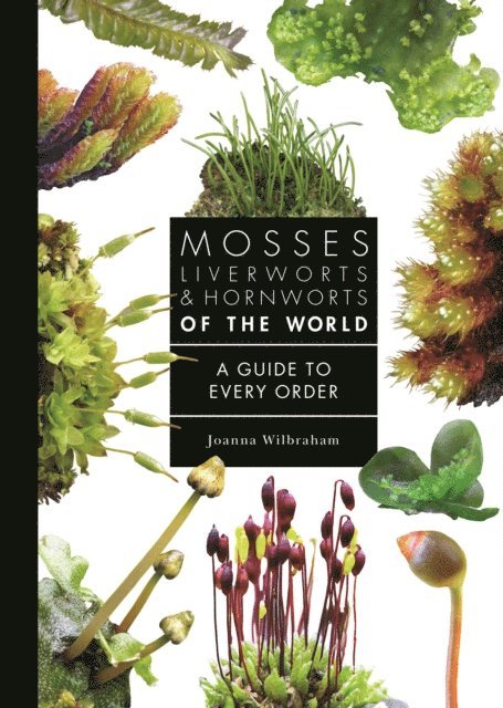 Joanna Wilbraham - Mosses, Liverworts, and Hornworts of the World, E-bok