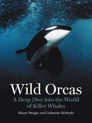 Hanne Strager, Catherine DeNardo - Wild Orcas, Inbunden