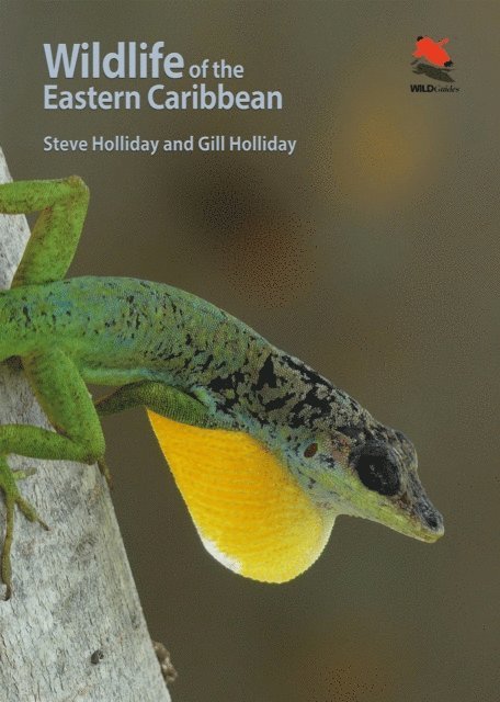 Gill Holliday, Steve Holliday - Wildlife of the Eastern Caribbean, E-bok