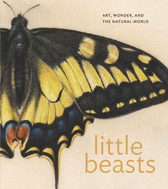 Stacey Sell, Brooks Rich, Alexandra Libby - Little Beasts, E-bok. Tillgänglighet: Lägg i varukorg