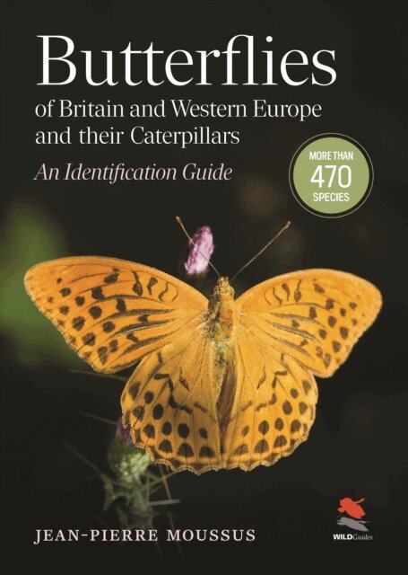 Jean-Pierre Moussus - Butterflies of Britain and Western Europe and Their Caterpillars, E-bok