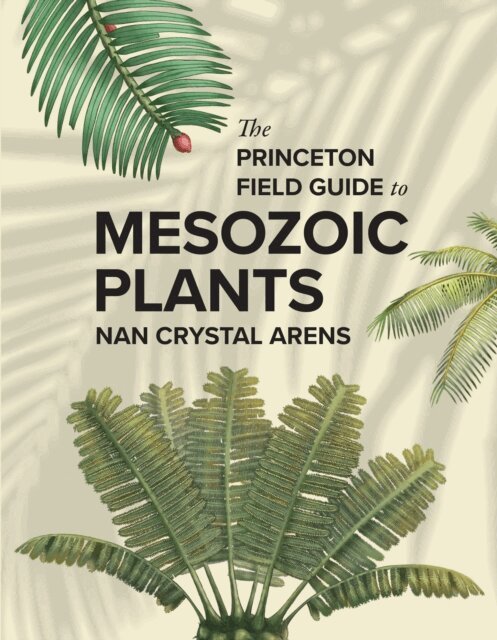 Nan Crystal Arens - Princeton Field Guide to Mesozoic Plants, E-bok