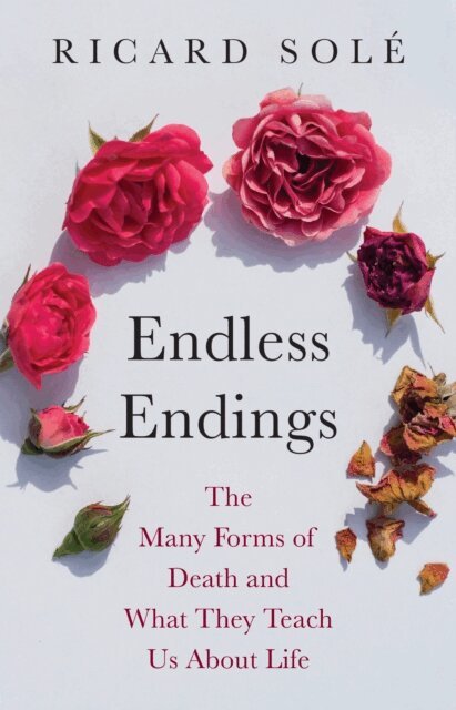 Ricard Sole - Endless Endings, E-bok