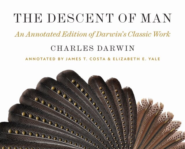 Charles Darwin, Elizabeth E. Yale, James T. Costa - Descent of Man, E-bok