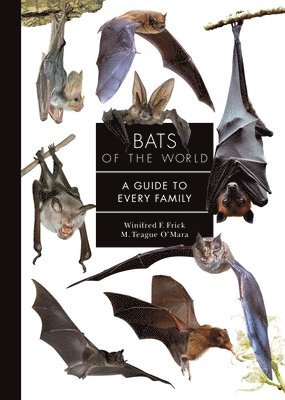 M. Teague O'Mara, Winifred Frick - Bats of the World, E-bok