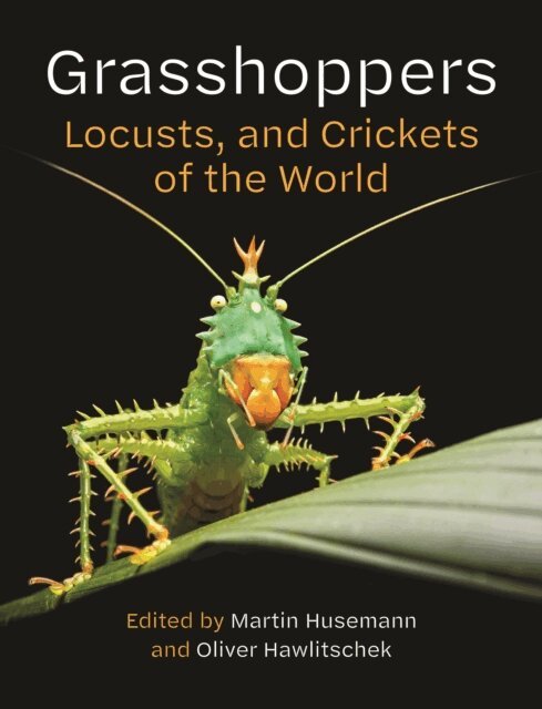 Oliver Hawlitschek, Martin Husemann - Grasshoppers, Locusts, and Crickets of the World, E-bok
