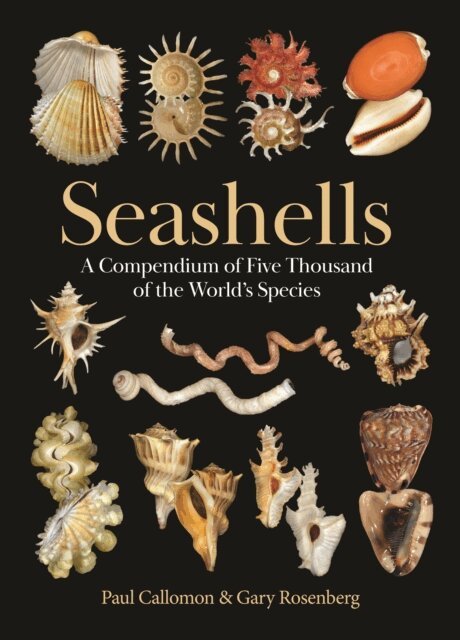 Gary Rosenberg, Paul Callomon - Seashells, E-bok