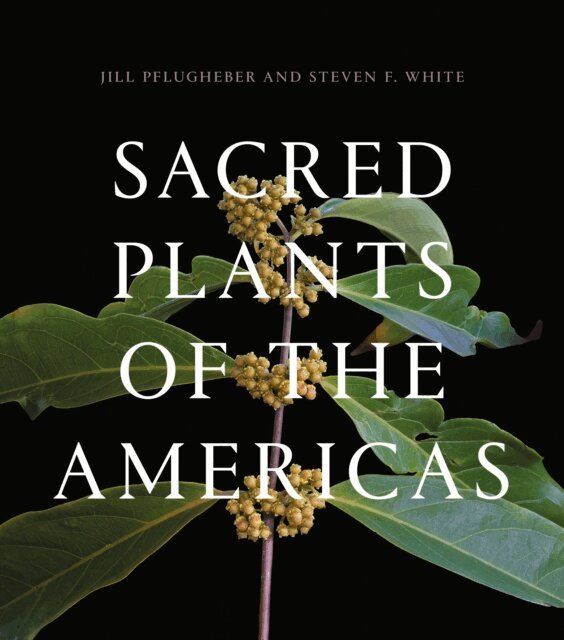 Steven F. White, Jill Pflugheber - Sacred Plants of the Americas, E-bok. Tillgänglighet: Lägg i varukorg
