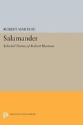 Salamander