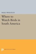 Where to Watch Birds in South America