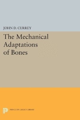 Mechanical Adaptations of Bones