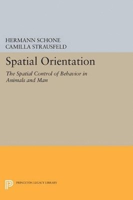 Hermann Schone - Spatial Orientation, Häftad