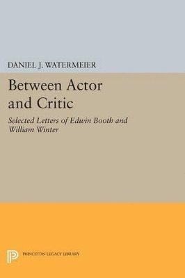 Daniel J. Watermeier - Between Actor and Critic, Häftad