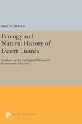 Ecology and Natural History of Desert Lizards