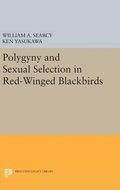 Polygyny and Sexual Selection in Red-Winged Blackbirds