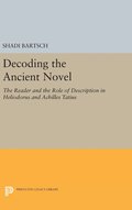 Decoding the Ancient Novel