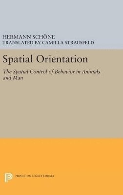 Hermann Schone - Spatial Orientation, Inbunden