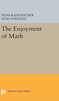 The Enjoyment of Math