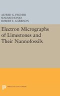 Electron Micrographs of Limestones and Their Nannofossils
