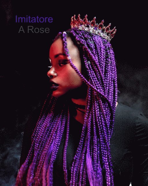 A Rose - Imitatore: The Donna Chronicles, E-bok