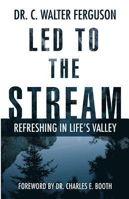 C. Walter Ferguson - Led To The Stream: Refreshing In Life's Valley, Häftad