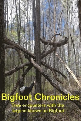 Melissa George - Bigfoot Chronicles, Häftad
