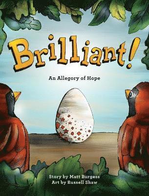 Matt B Burgess - Brilliant!, Inbunden