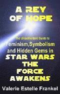 A Rey of Hope: Feminism, Symbolism and Hidden Gems in Star Wars: The Force Awakens