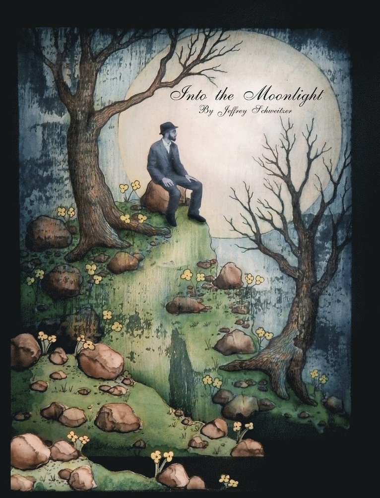 Jeffrey Schweitzer - Into the Moonlight, Inbunden. Tillgänglighet: Lägg i varukorg