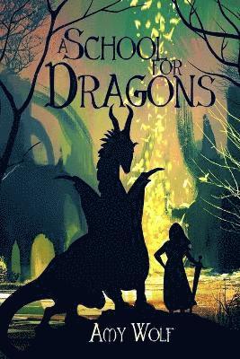 Amy H Wolf - School for Dragons, Häftad
