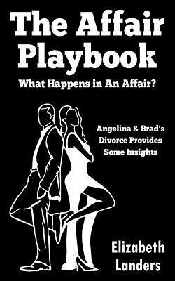 Elizabeth Landers - The Affair Playbook: What Happens in an Affair? Angelina & Brad's Divorce Provides Some Insights, Häftad