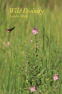 Lynda Allen - Wild Divinity, Häftad