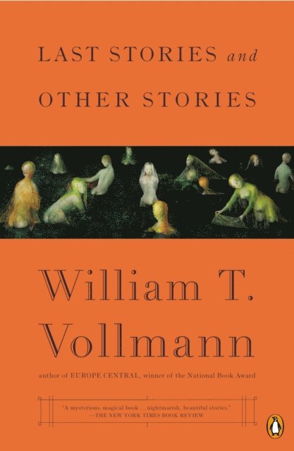 William T. Vollmann - Last Stories and Other Stories, E-bok