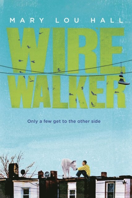 Mary Hall - Wirewalker, E-bok