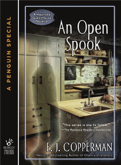 E.J. Copperman - Open Spook, E-bok
