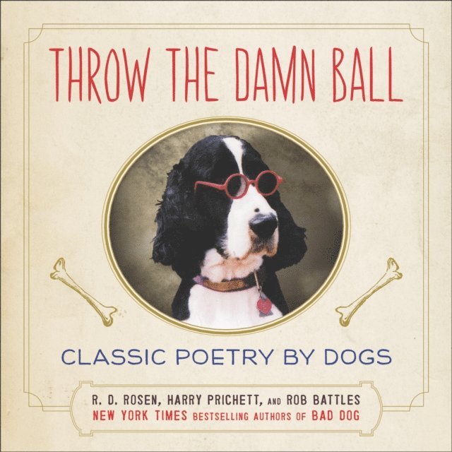 Throw the Damn Ball