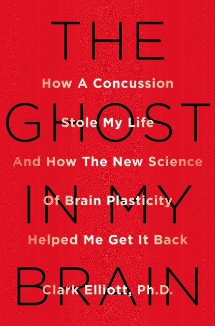 Ghost in My Brain