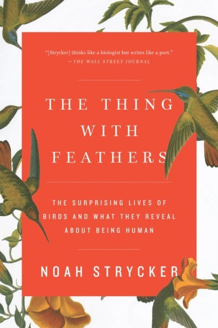Noah Strycker - Thing with Feathers, E-bok